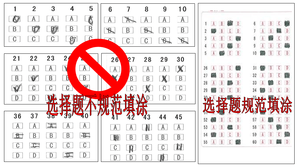 7f11f9c83452458993f25eef4607c013.png