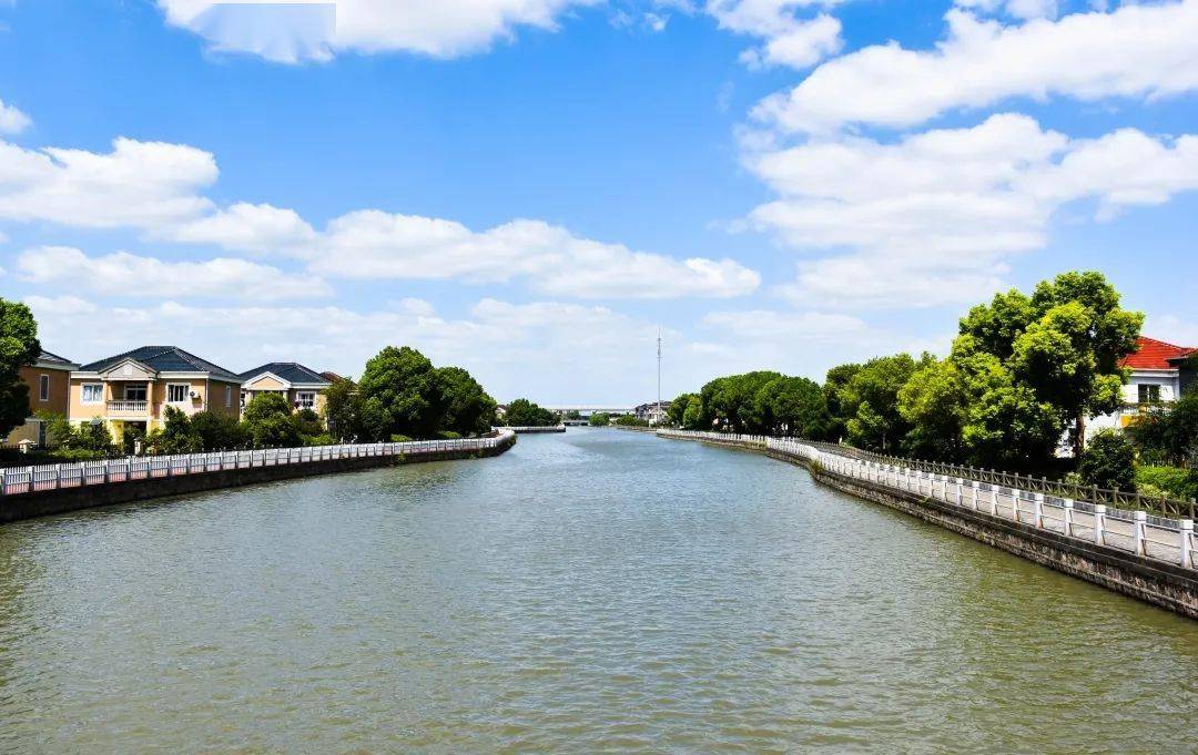 青浦这些小河入选"上海最美河道"!来看在不在你家附近