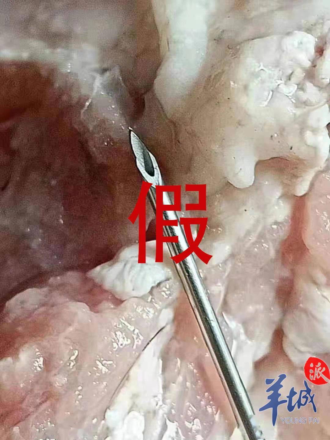 f362c57be1694c05ac04a704e04ae92f.jpeg