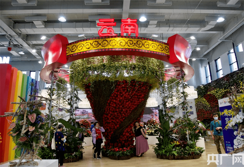 花开中国梦 相约彩云南 第十届花博会举办 云南馆日 活动 云上花