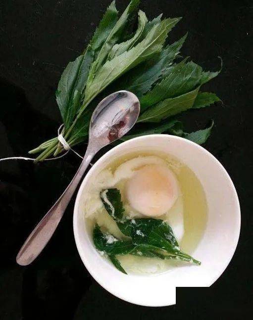 67伤力草商丘大地上的千年传承