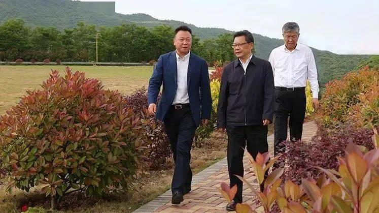 甘肃省省长任振鹤莅临金徽矿业调研