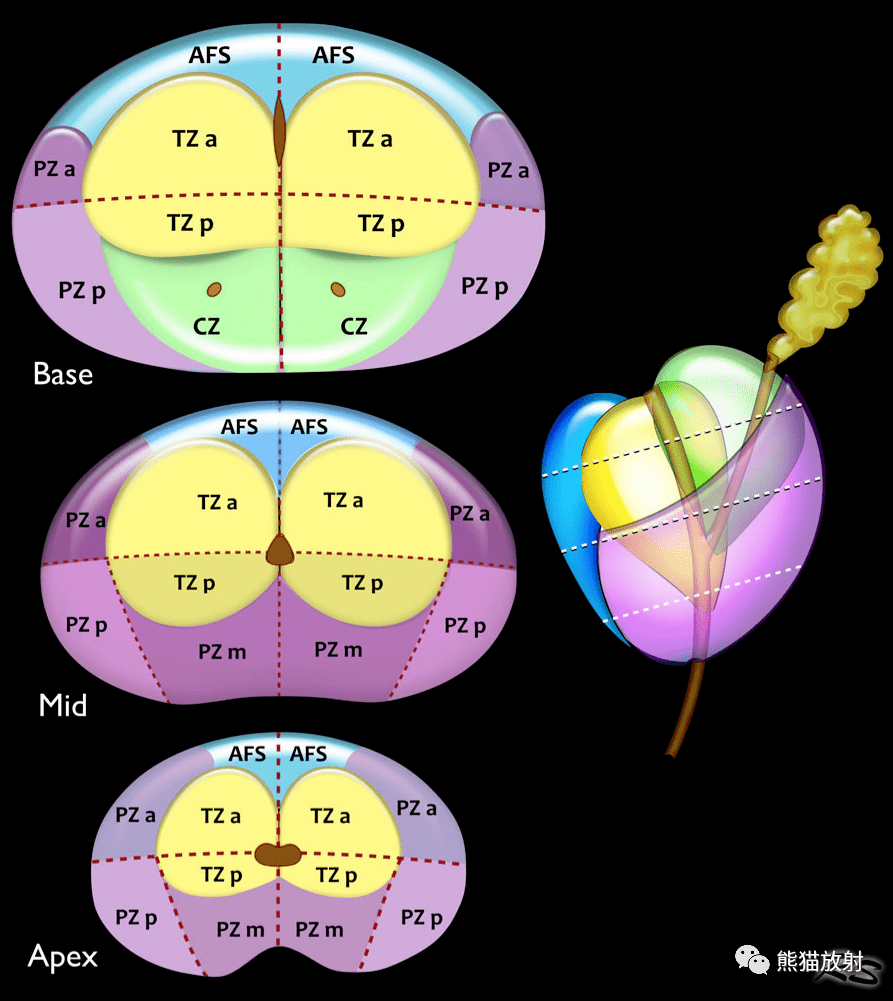 pi