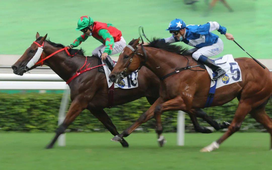 沙田赛事|方嘉柏起孖确立一「哥」地位_头马