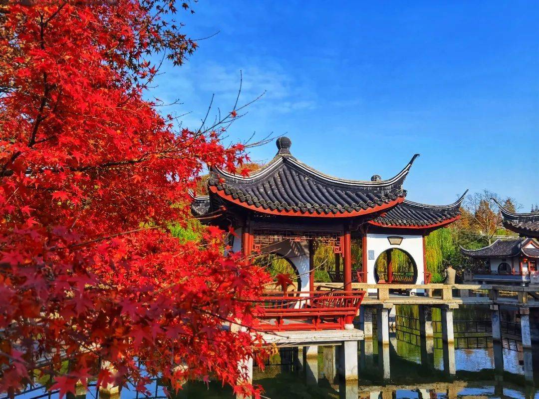 生活在风景中丨市容环境百年百景奉贤篇