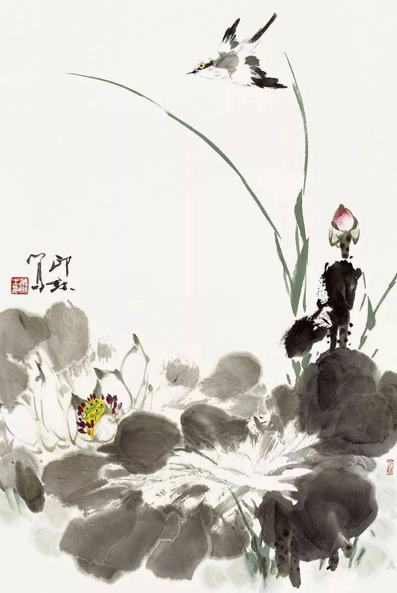 萧朗画荷,美不胜收_荷花