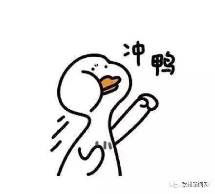 高考启幕少年加油