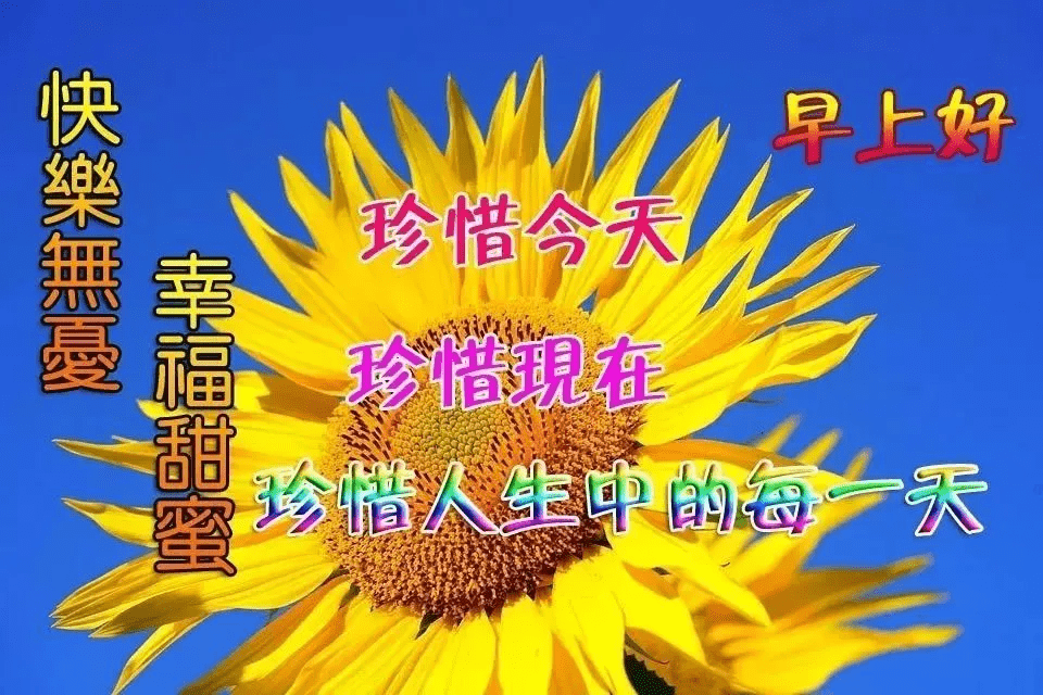 最新版的早上好问候语可复制 f4491c72abca4a7c86b0a4c958967003.png