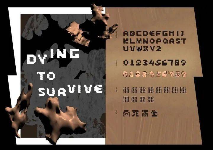 文章配图-109