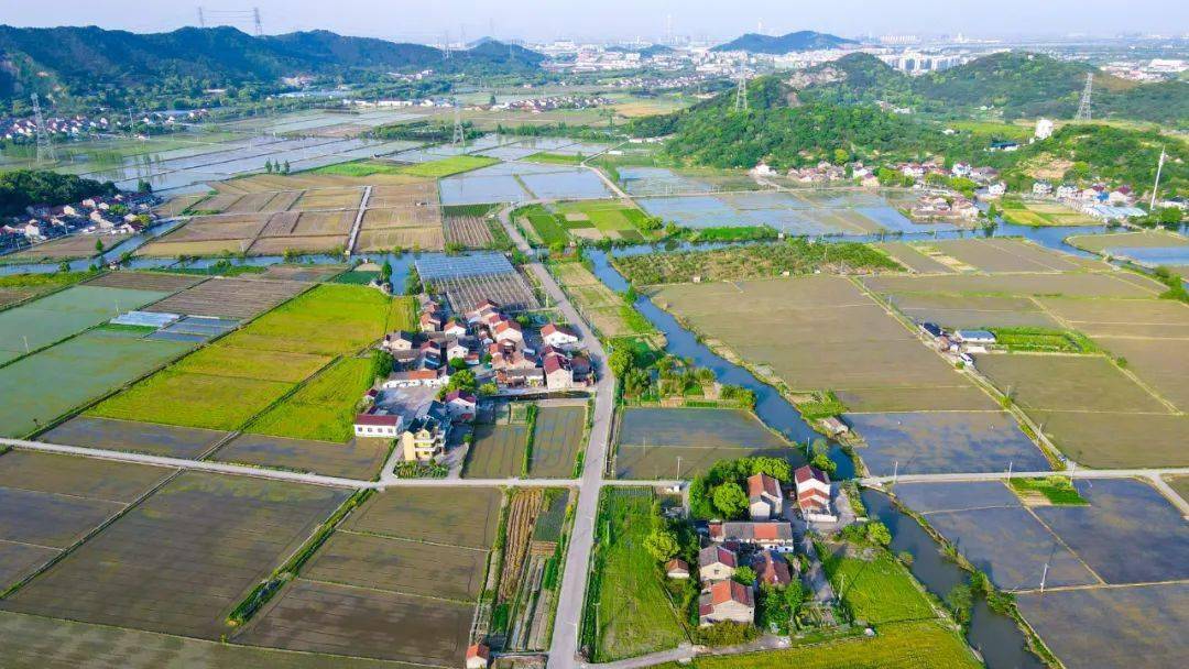 美丽城镇建设系列报道之镇海篇九龙湖镇筑梦山水田园