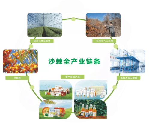c3245b884cd346b580008731b770083b.png