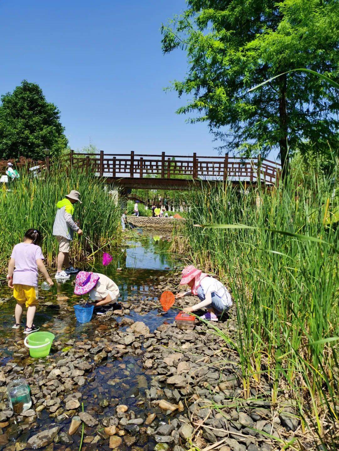 松雅湖湿地自然学校第128期分享做个小小的博物家