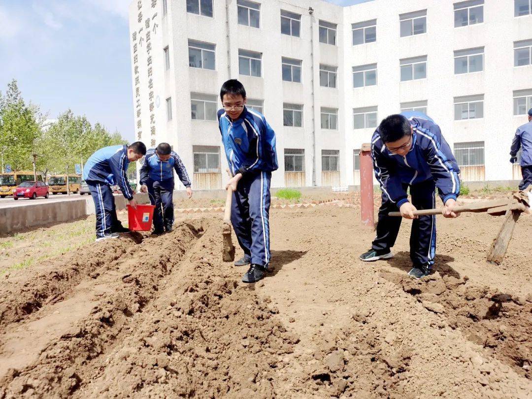 典型案例74龙口市诸由观镇诸由学校一主两翼劳动教育体系助力学生