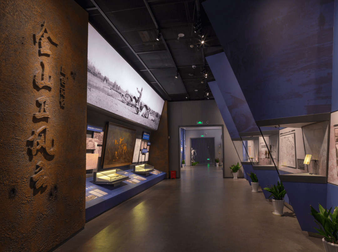 展望振兴路百年奋斗铸就辉煌来金山如画感受乡村振兴发展成就