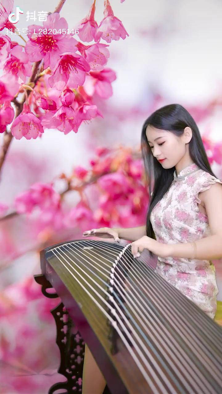 谁说梅花没有泪?古筝版梅花泪 梅花泪 雷雷古筝 弘扬国乐 古筝弹唱
