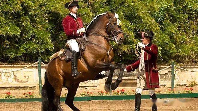 欧洲四大古典马术学校背后的那些历史_表演