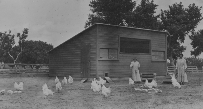 梦境的哀歌,女孩的心碎与成长 梦境的哀歌,女孩的心碎与成长