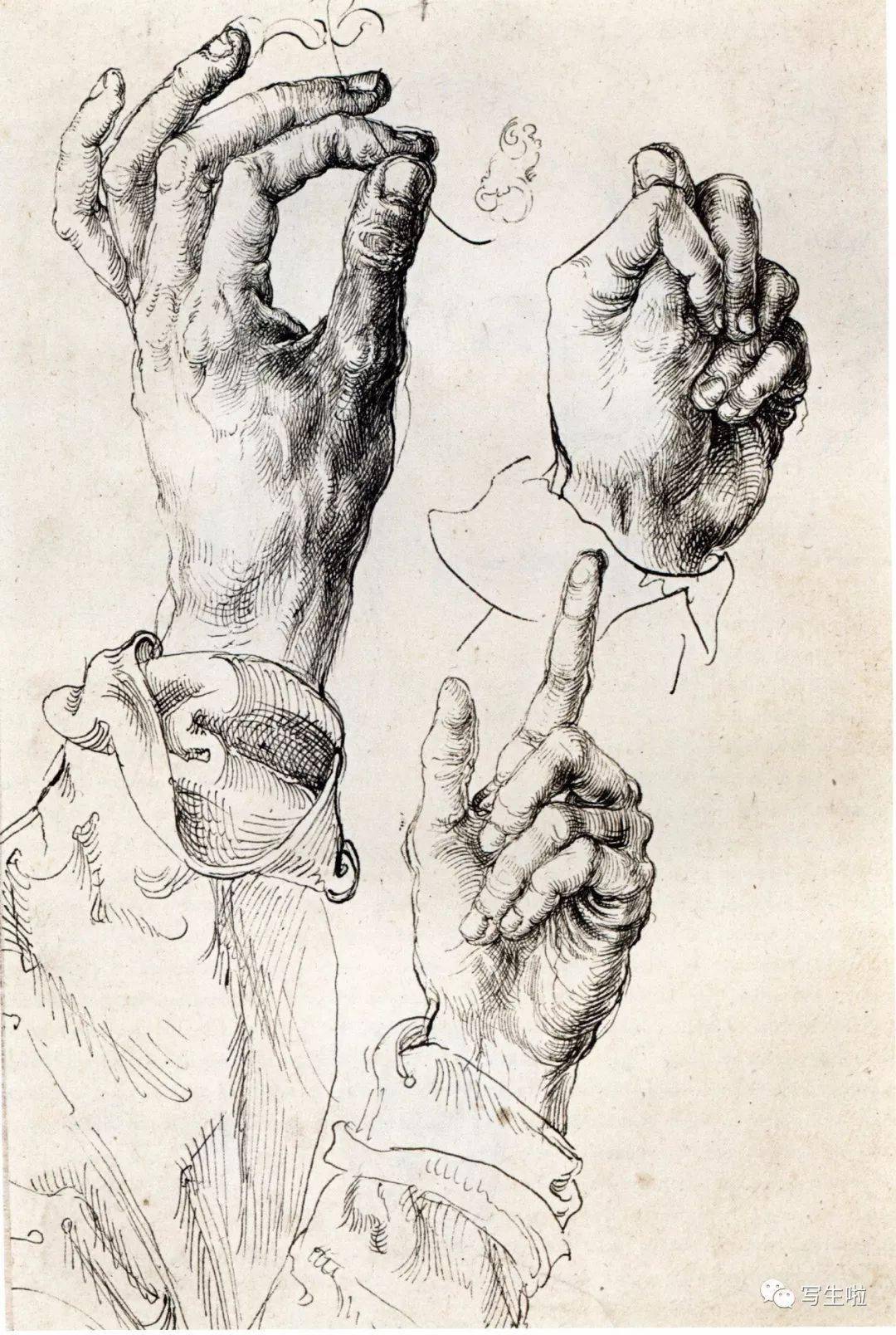 中国写生形象生动鲜明丢勒的素描