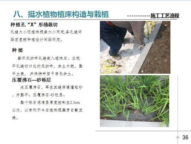 园林绿化做法锦集,草坪平整与收边衔接