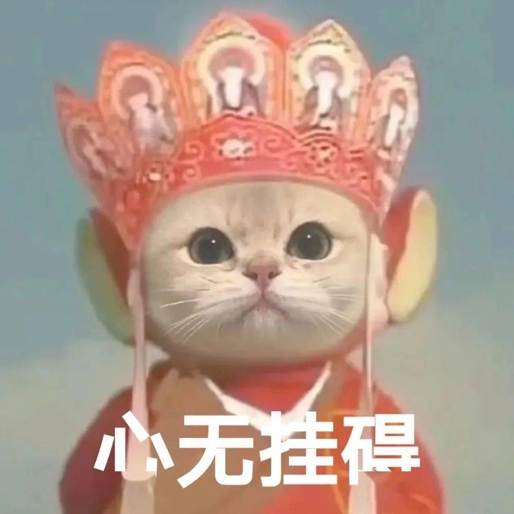 社死现场表情包 153b948c908a4b099ca34dc11dd8573d.jpeg