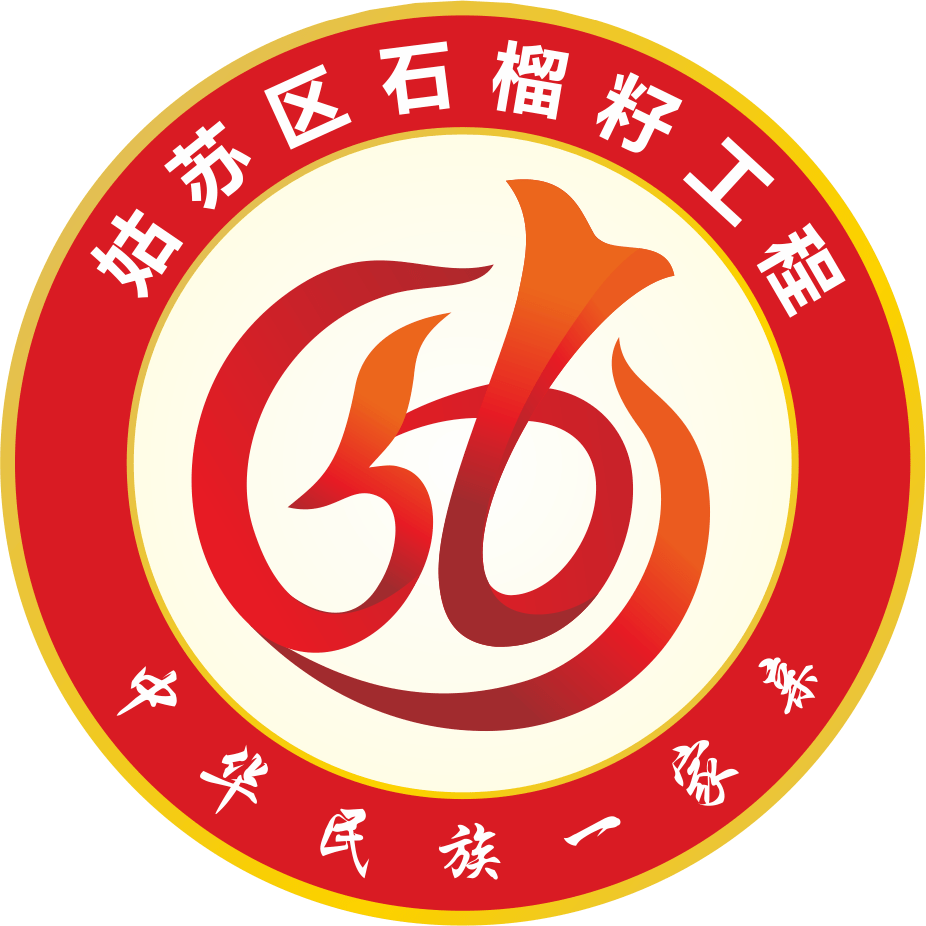 一朵民族团结之花在古城绽放