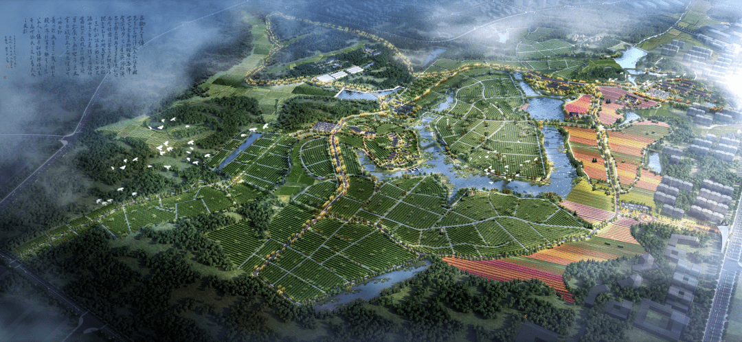 神农岭本草科技园由田园式的基地组成,分布有分格式药田,再一侧还规划