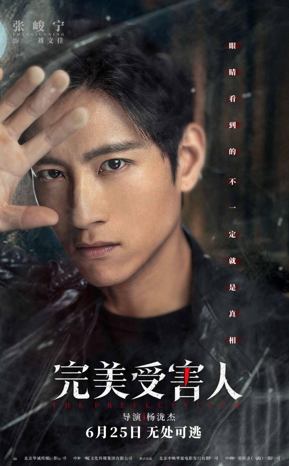 国产悬疑犯罪电影《完美受害人》曝角色海报