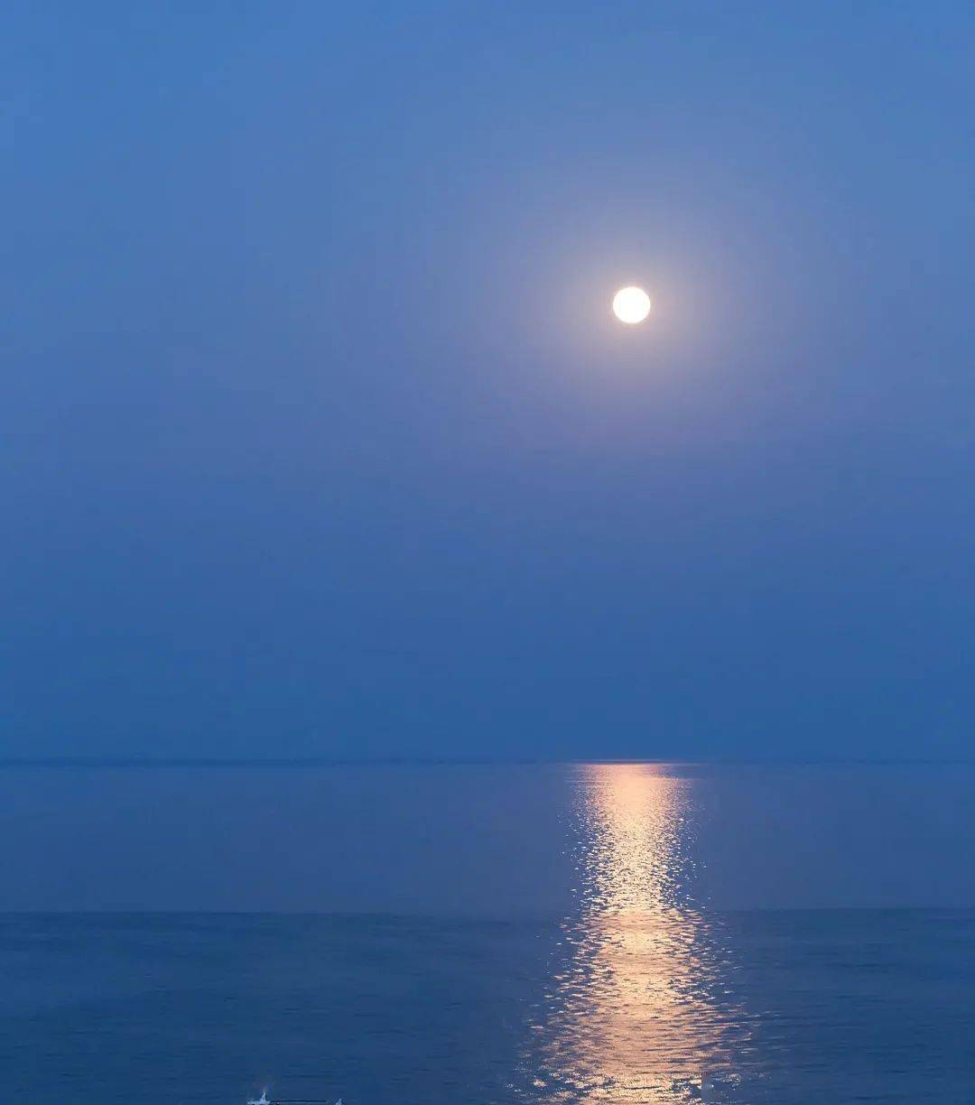 云散月明点缀天容海色澄清