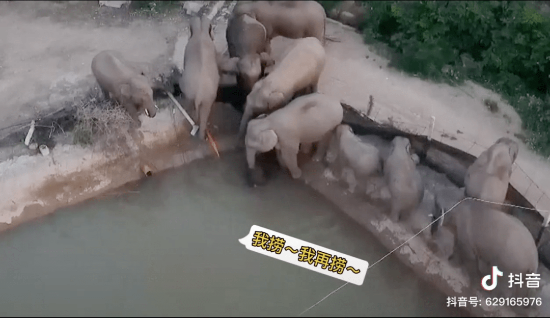 鱼的视频抖音儿童 70ac5046152b466fad5f93e0806b6949.png