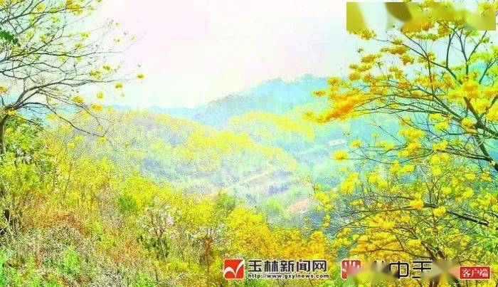 推荐丨陆川县金兰湾休闲农庄 山谷中的浪漫 花乡 庄园