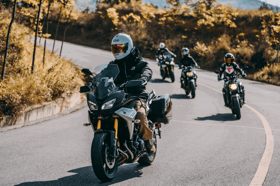 机会再来！不止1元购车，多款进口车型再次上线_搜狐汽车_搜狐网