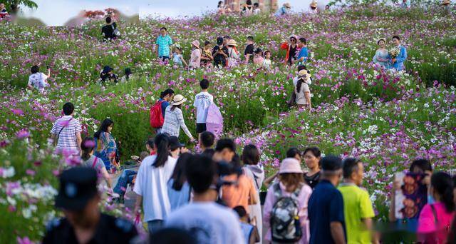 晚上依旧人山人海 端午假期全民夜游海花岛_游客