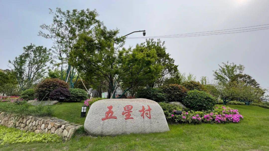 连续7年蝉联榜首临平这个村富