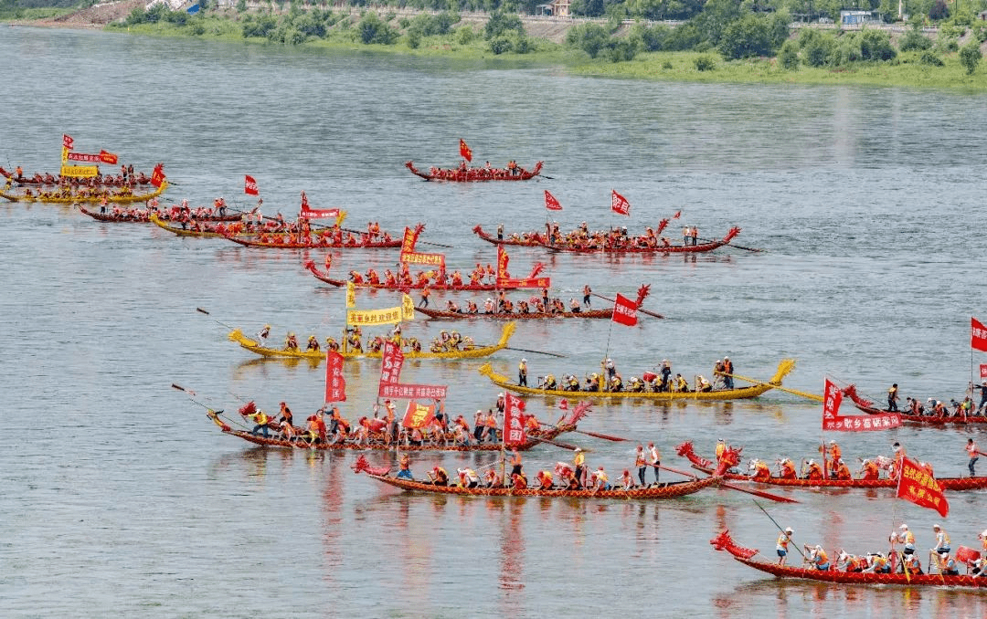 端午赛龙舟藏着一个团队的道理