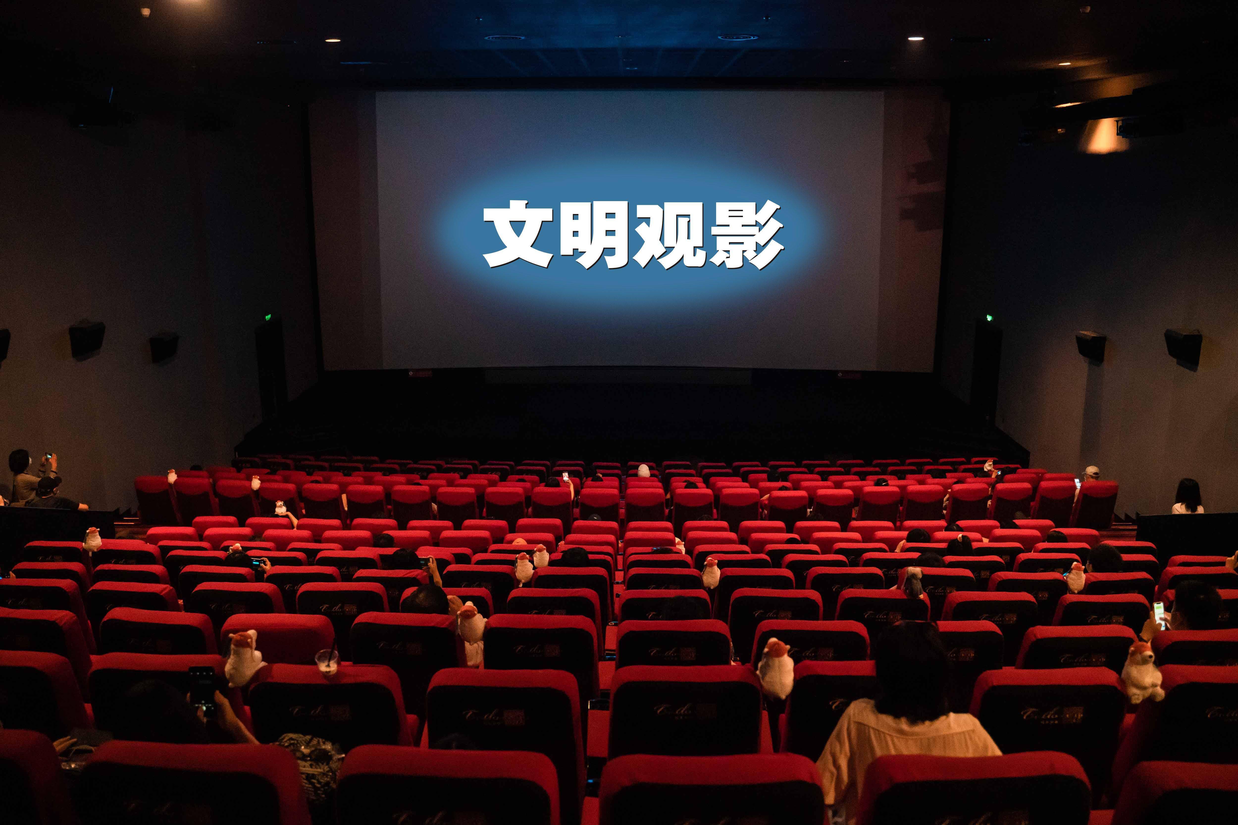 影院经理揭秘损坏银幕赔1万5真不贵丨调查