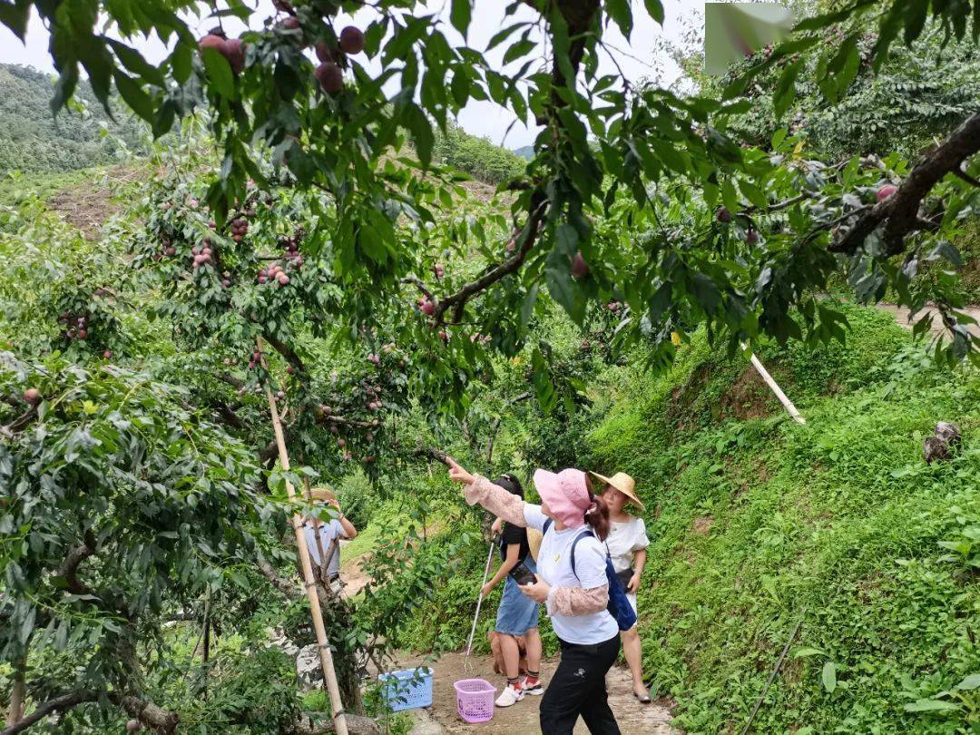 厦门邮轮旅游_厦门到日本邮轮旅游_邮轮旅游厦门出发