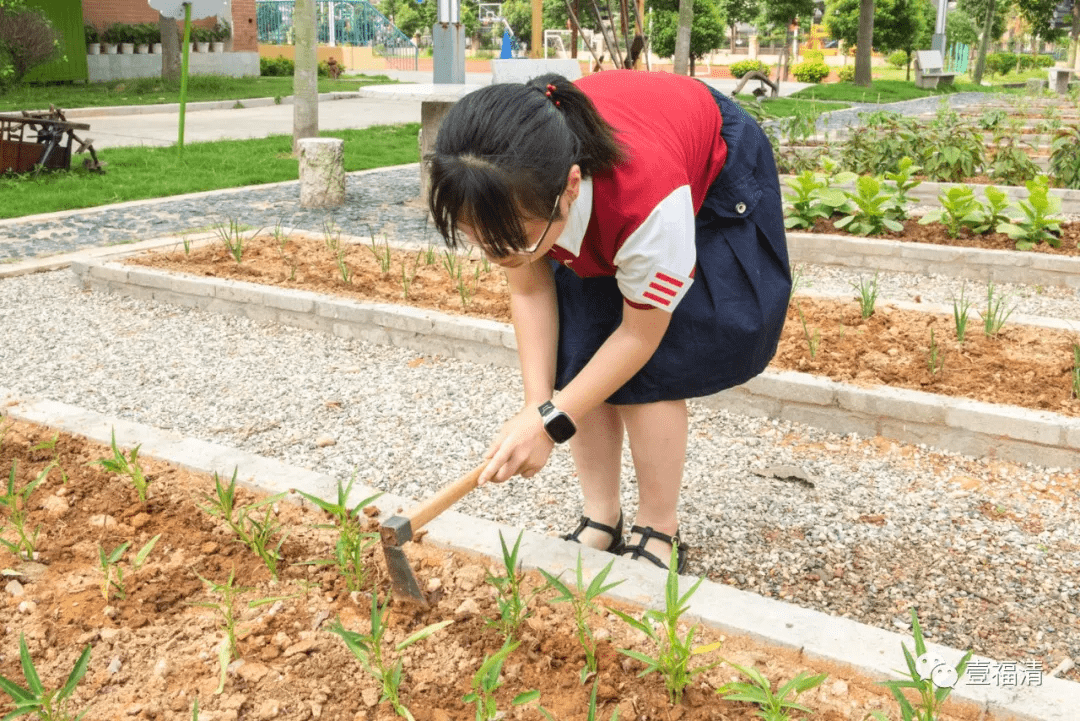 "我在学校种地!"福清这所学校,爱了