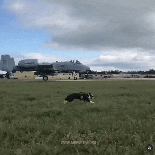 532_534gif 动态图 动图