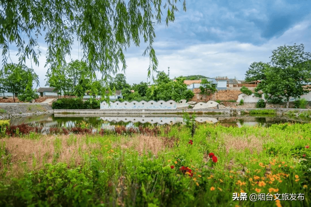 走在乡间小路原唱曲谱_人走在乡间小路图片