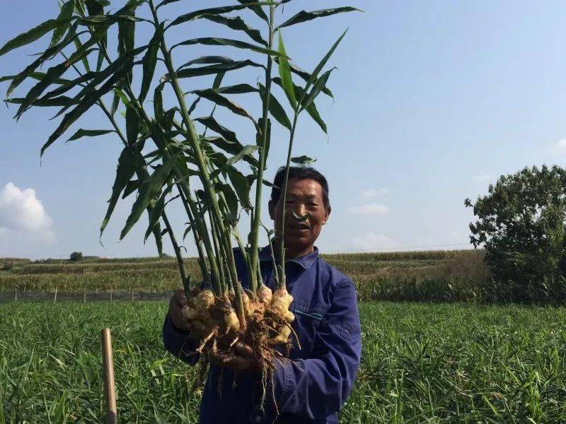 头版头条 这场 攻坚战 ,东港 全省第一