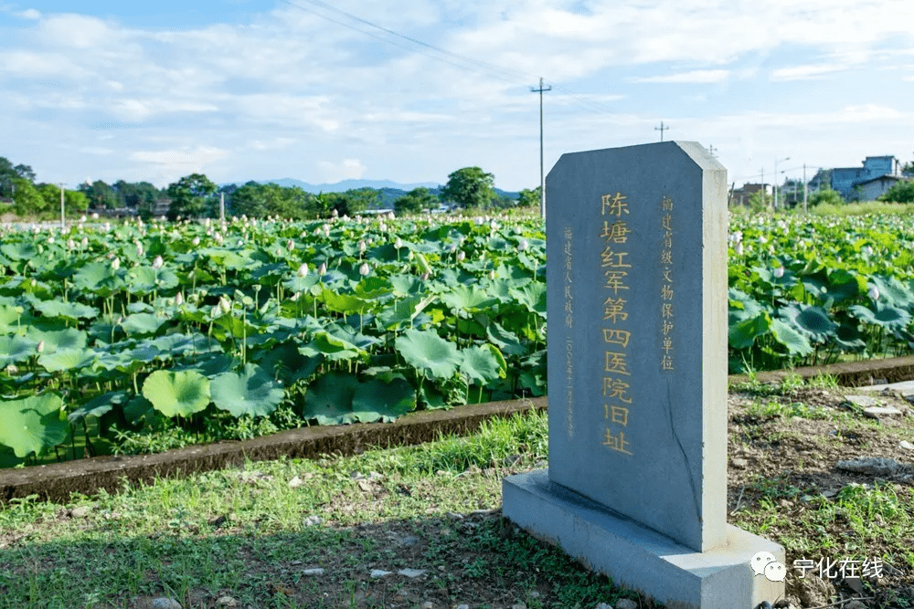 陈塘村图片