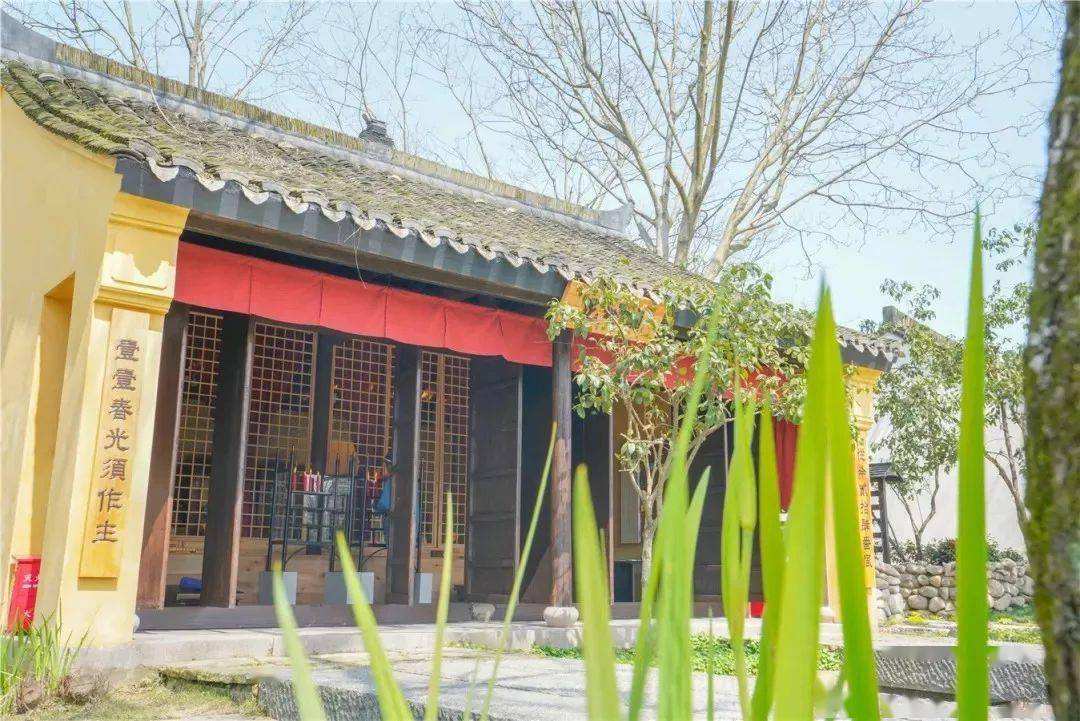 杭州必去避暑胜地满池的荷花渐盛流连于桥水之间楼台如入画