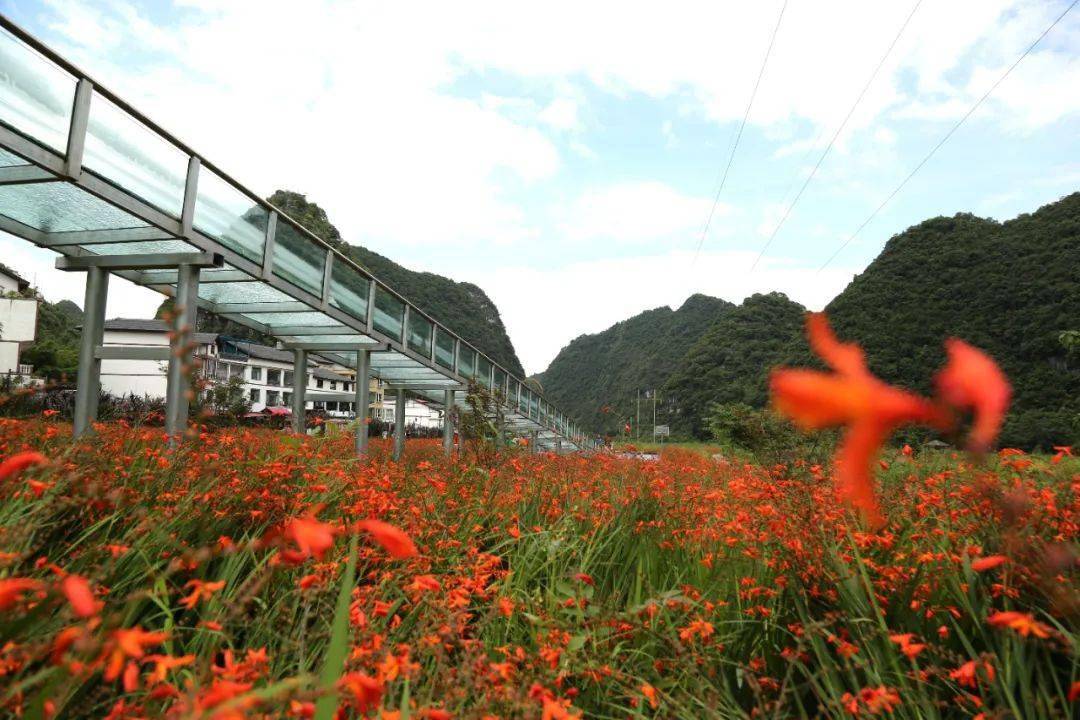 天气 黔南这里花开了 最佳观赏期6月中旬至7月中旬 打卡去呀 泉谷