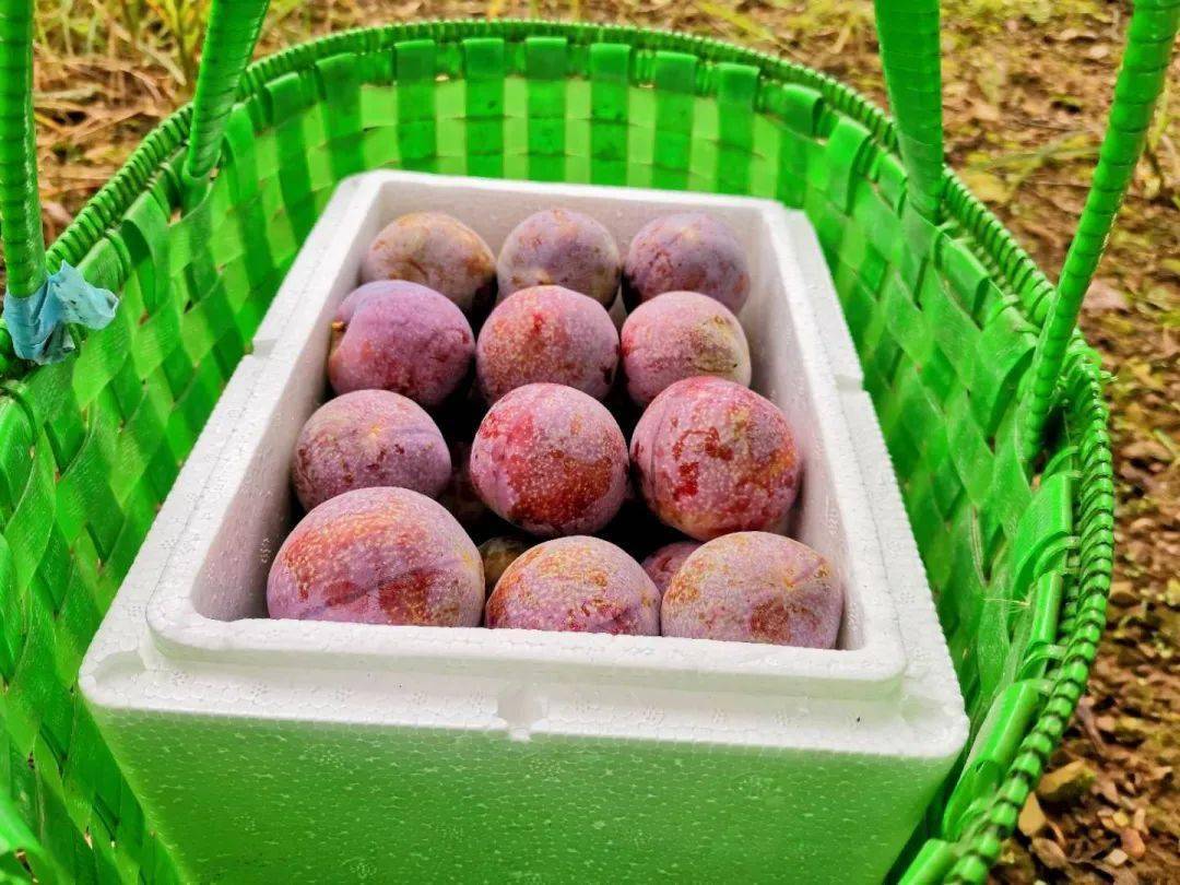 当当网上支付_当当网支付方式_当当网上支付怎么取消