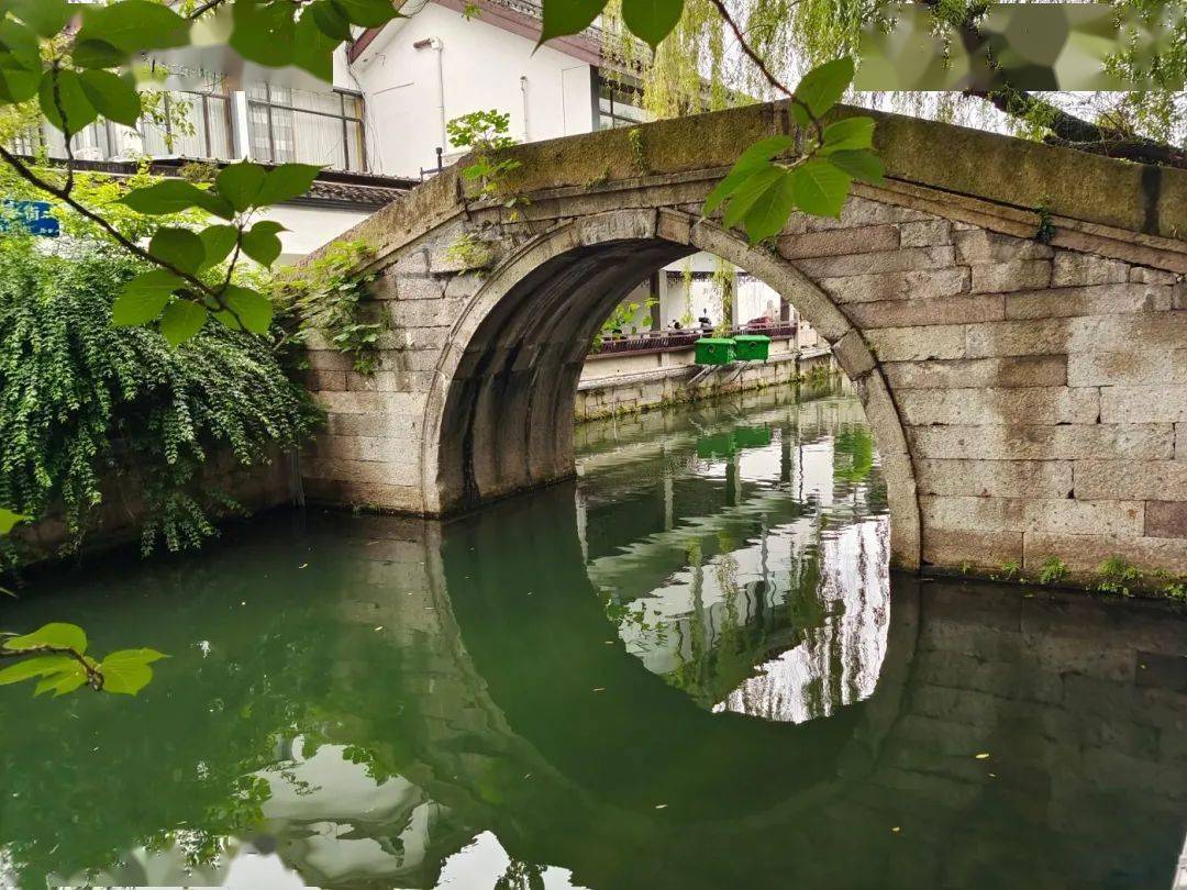 【绍兴·图说】大木桥_新疆