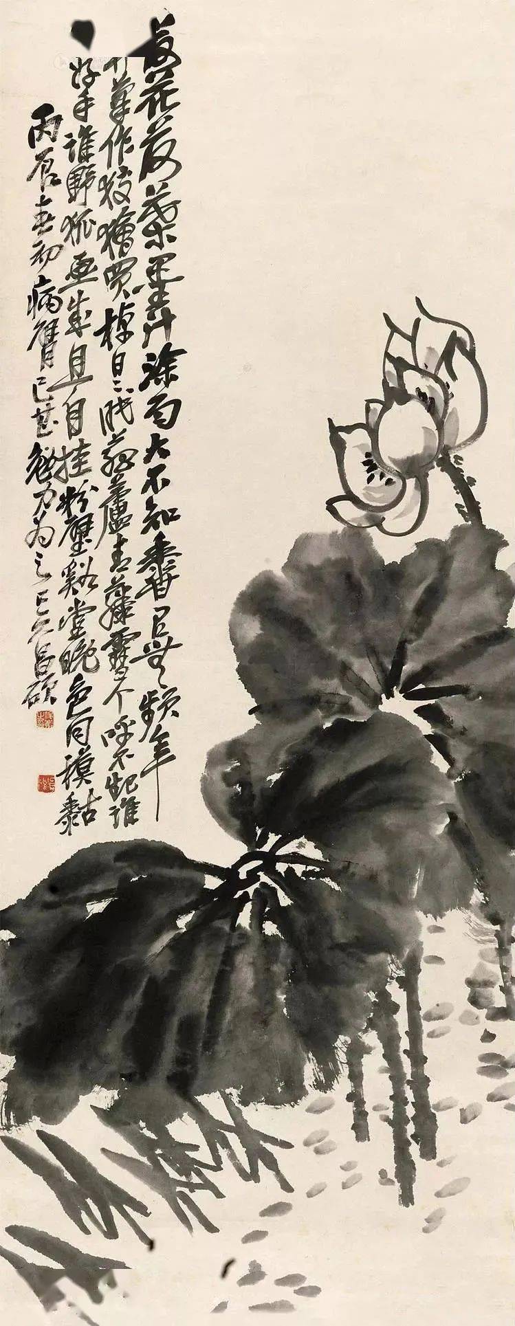 吴昌硕画荷花作品大全图片