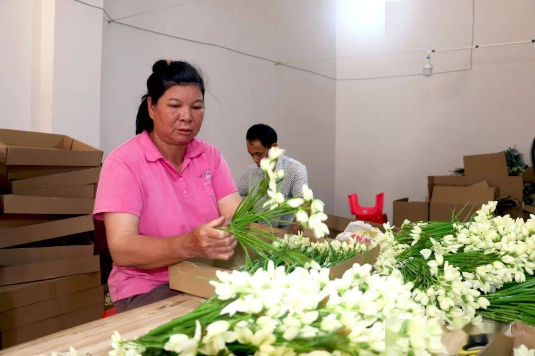 公安镇安置小区居民在就业车间加工塑料花制品.