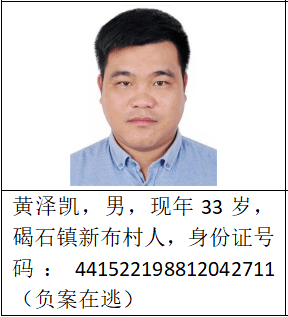 陆丰公安局关于公开征集温启南等人犯罪团伙违法犯罪线索的通告