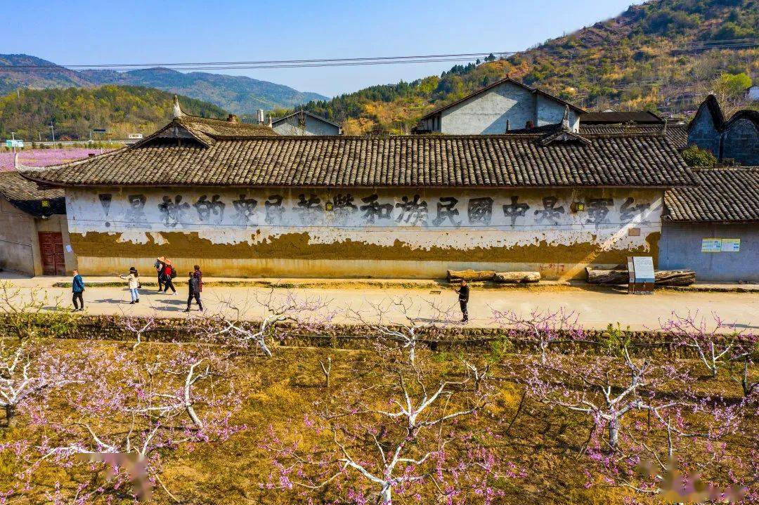 直播预告618相约青林口回顾革命史