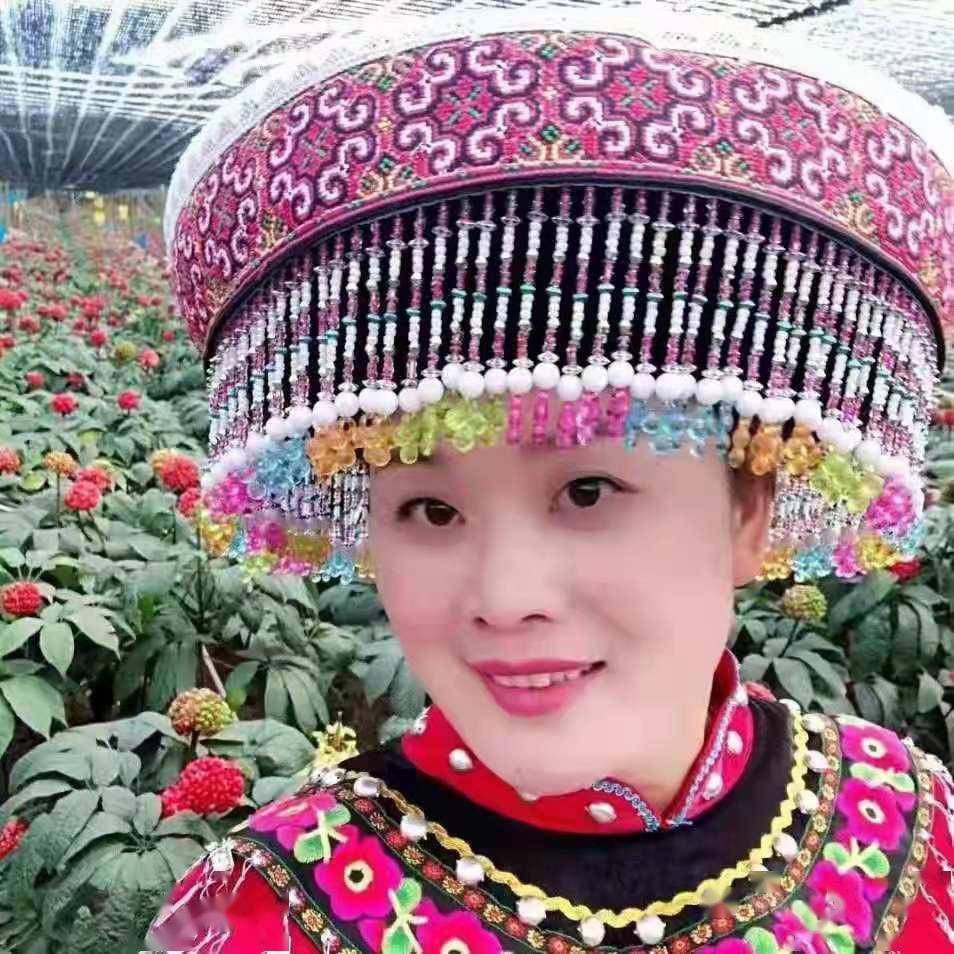 文山刘源生三七多渠道发展带动农户脱贫致富